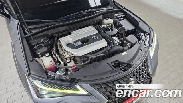 Lexus UX 2019 — photo 6