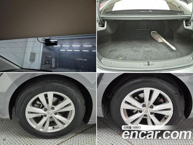 Renault Korea SM6 2019 — photo 18