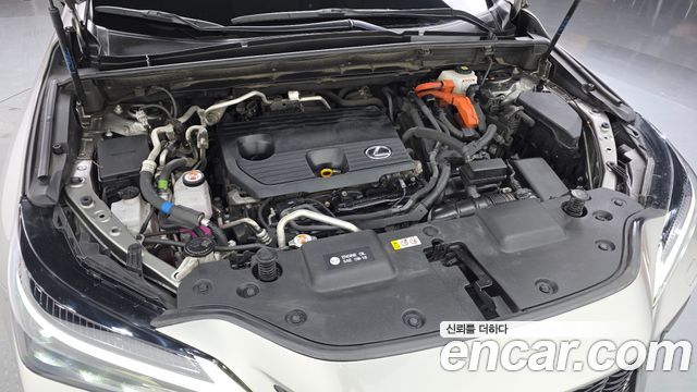 Lexus NX 2025 — photo 6