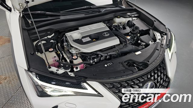 Lexus UX 2019 — photo 6