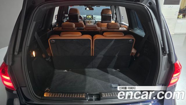 Mercedes-Benz GLS-Class 2017 — photo 19