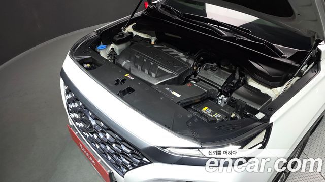 Hyundai Santafe 2020 — photo 6