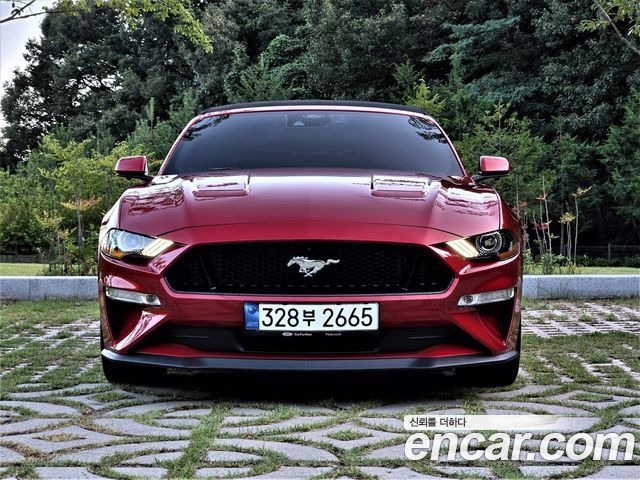 Ford Mustang 2023 — photo 3