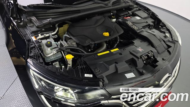 Renault Korea SM6 2019 — photo 6