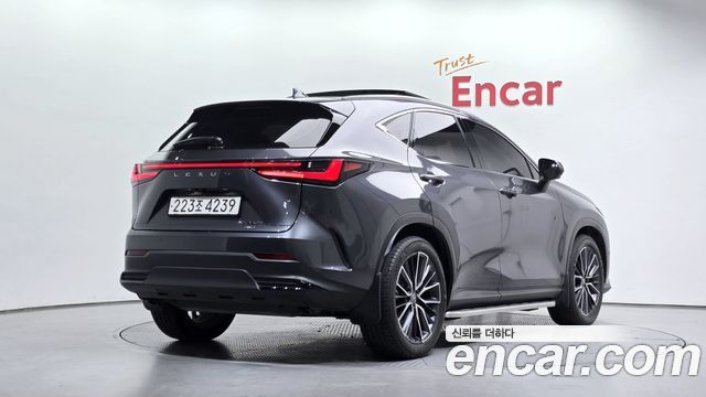 Lexus NX 2024 — photo 2