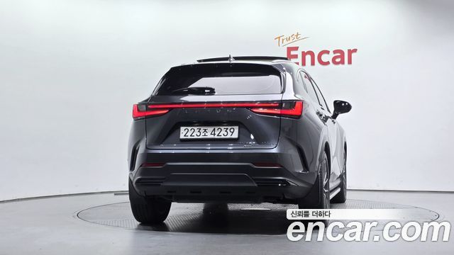 Lexus NX 2024 — photo 4