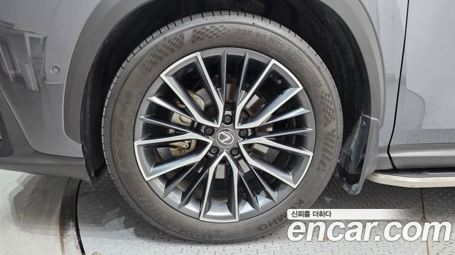 Lexus NX 2024 — photo 5