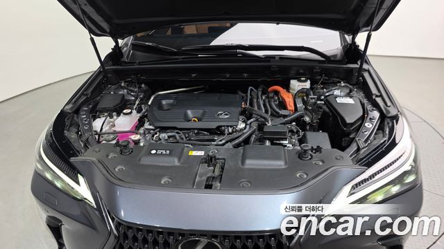 Lexus NX 2024 — photo 6