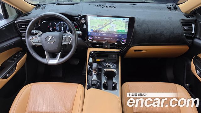 Lexus NX 2024 — photo 10