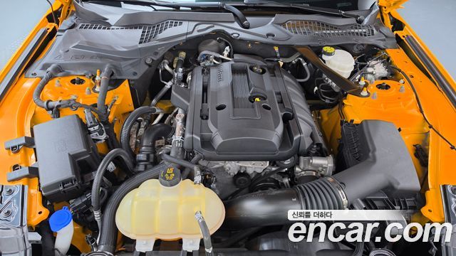 Ford Mustang 2022 — photo 6