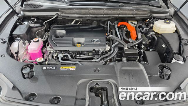 Lexus RX 2025 — photo 6