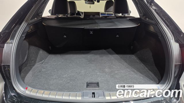 Lexus RX 2025 — photo 20