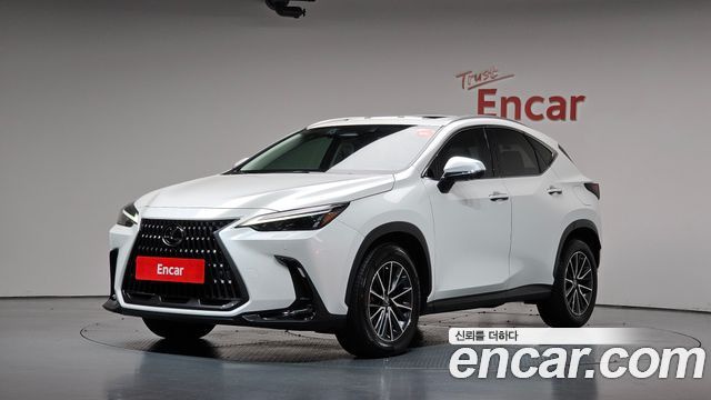 Lexus NX 2022 — photo 1