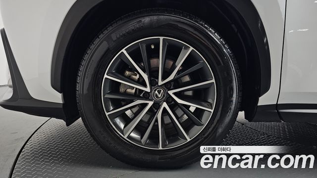 Lexus NX 2022 — photo 5
