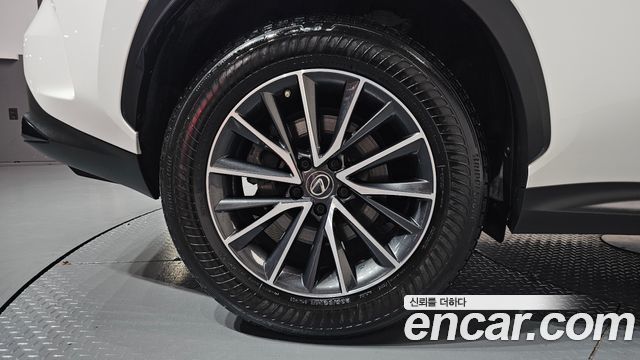 Lexus NX 2022 — photo 7