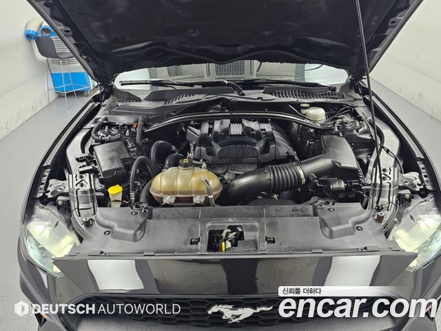 Ford Mustang 2019 — photo 6