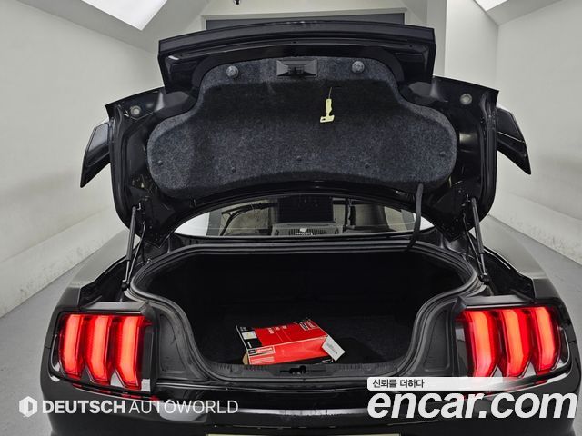 Ford Mustang 2019 — photo 19