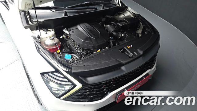 Kia Sportage 2023 — photo 6