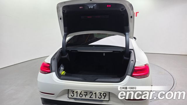 Mercedes-Benz CLS-Class 2021 — photo 37