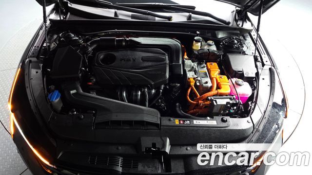 Kia K5 2024 — photo 6