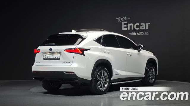 Lexus NX 2017 — photo 2