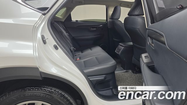 Lexus NX 2017 — photo 11