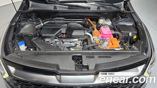 Kia Sportage 2024 — photo 6