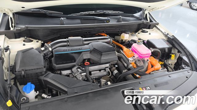 Kia Sportage 2024 — photo 6