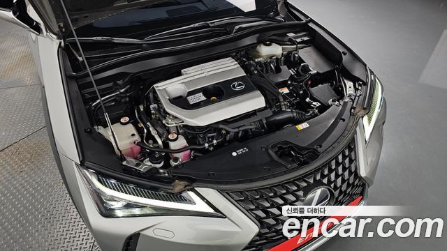 Lexus UX 2019 — photo 6