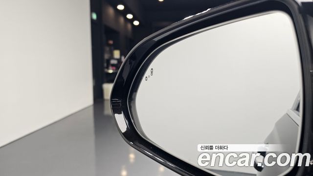 Genesis G90 2019 — photo 27