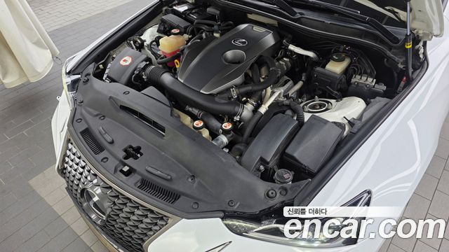 Lexus IS 2018 — photo 6
