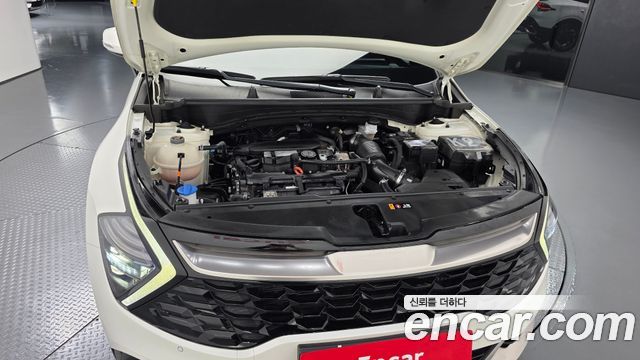 Kia Sportage 2024 — photo 6