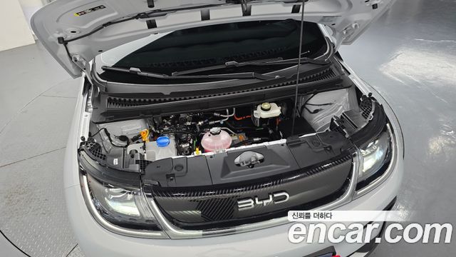 BYD Dolphin 2026 — photo 6