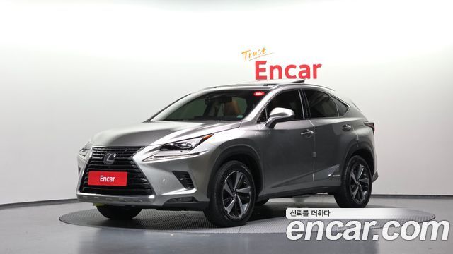 Lexus NX 2019 — photo 1