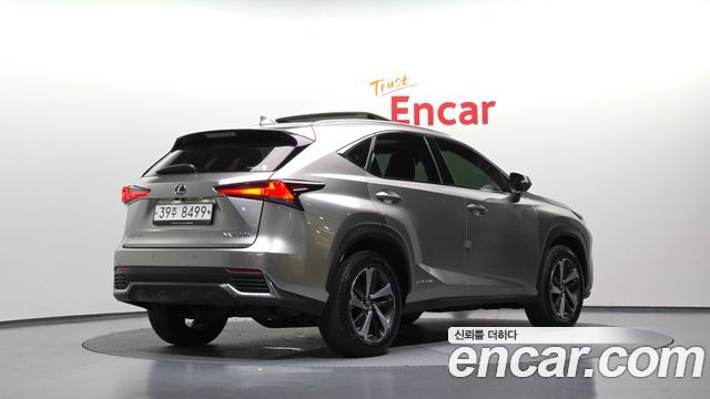 Lexus NX 2019 — photo 2