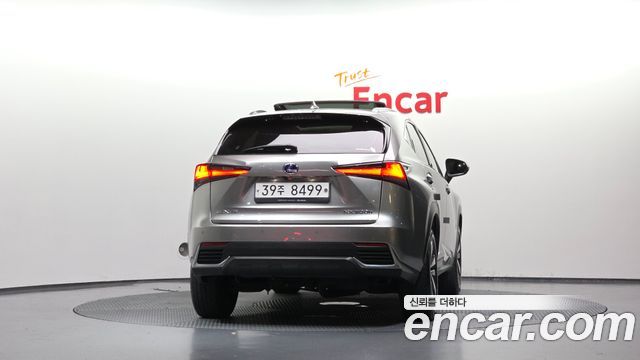 Lexus NX 2019 — photo 4