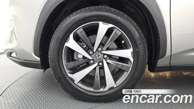 Lexus NX 2019 — photo 5