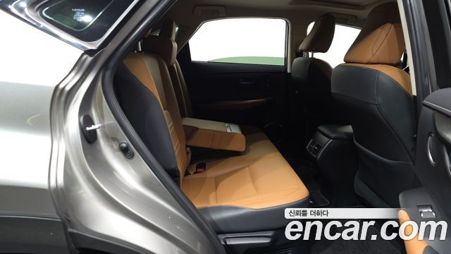 Lexus NX 2019 — photo 17