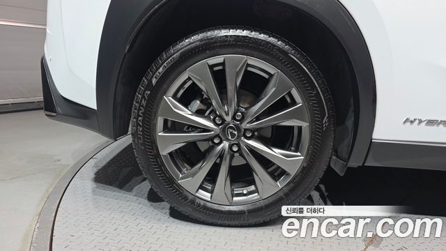 Lexus UX 2022 — photo 5