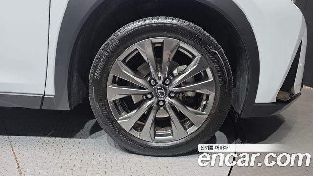 Lexus UX 2022 — photo 7