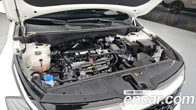 Kia Sportage 2024 — photo 6