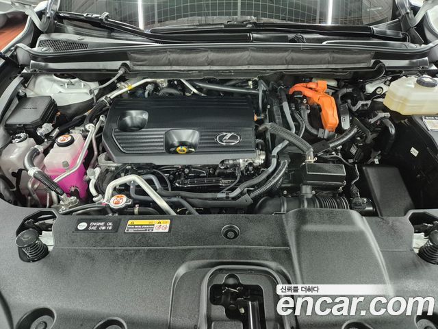 Lexus RX 2025 — photo 18