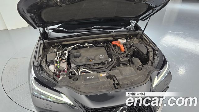Lexus NX 2024 — photo 6