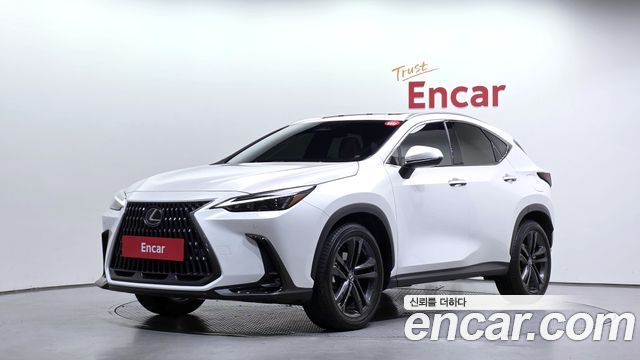 Lexus NX 2025 — photo 1