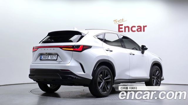 Lexus NX 2025 — photo 2