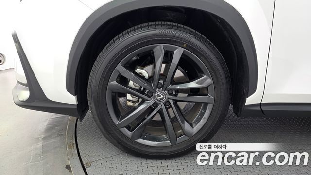 Lexus NX 2025 — photo 5
