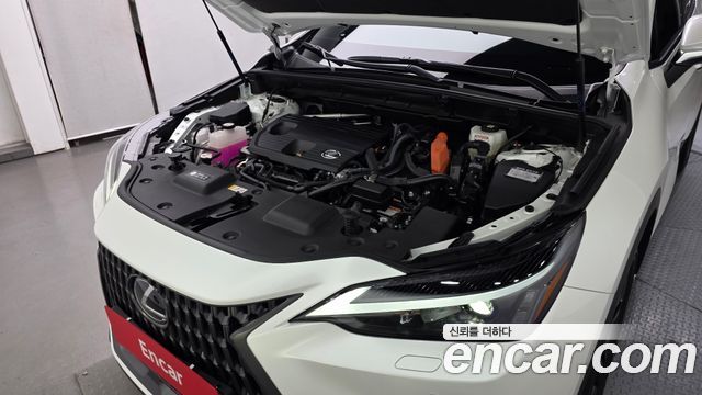 Lexus NX 2025 — photo 6