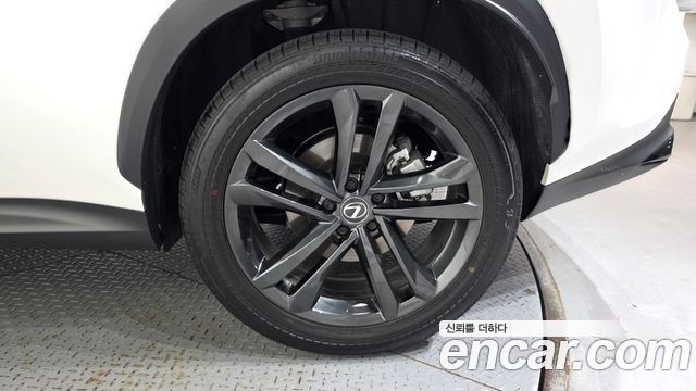 Lexus NX 2025 — photo 7