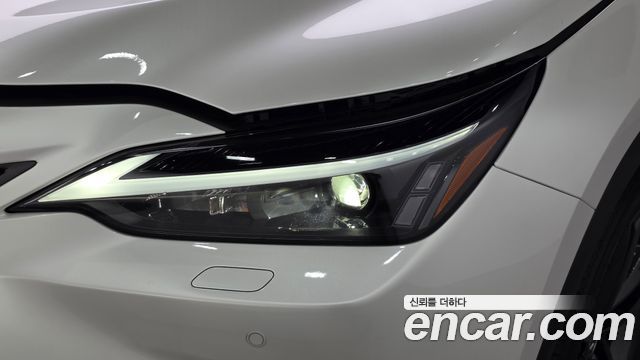 Lexus NX 2025 — photo 8