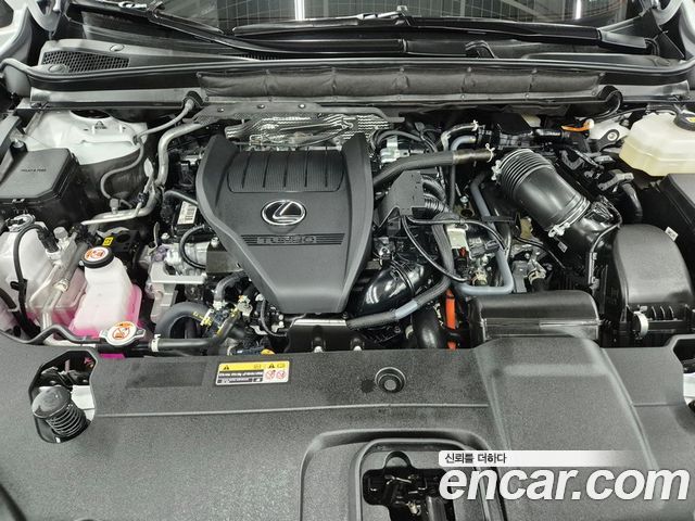Lexus RX 2024 — photo 19